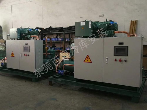 珠海鱸魚(yú)加工廠冷庫(kù)安裝 構(gòu)建高品質(zhì)、高安全性的食品儲(chǔ)存解決方案